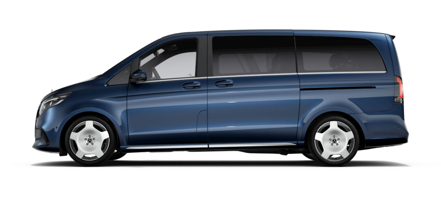 V 300 d / Exclusive / L