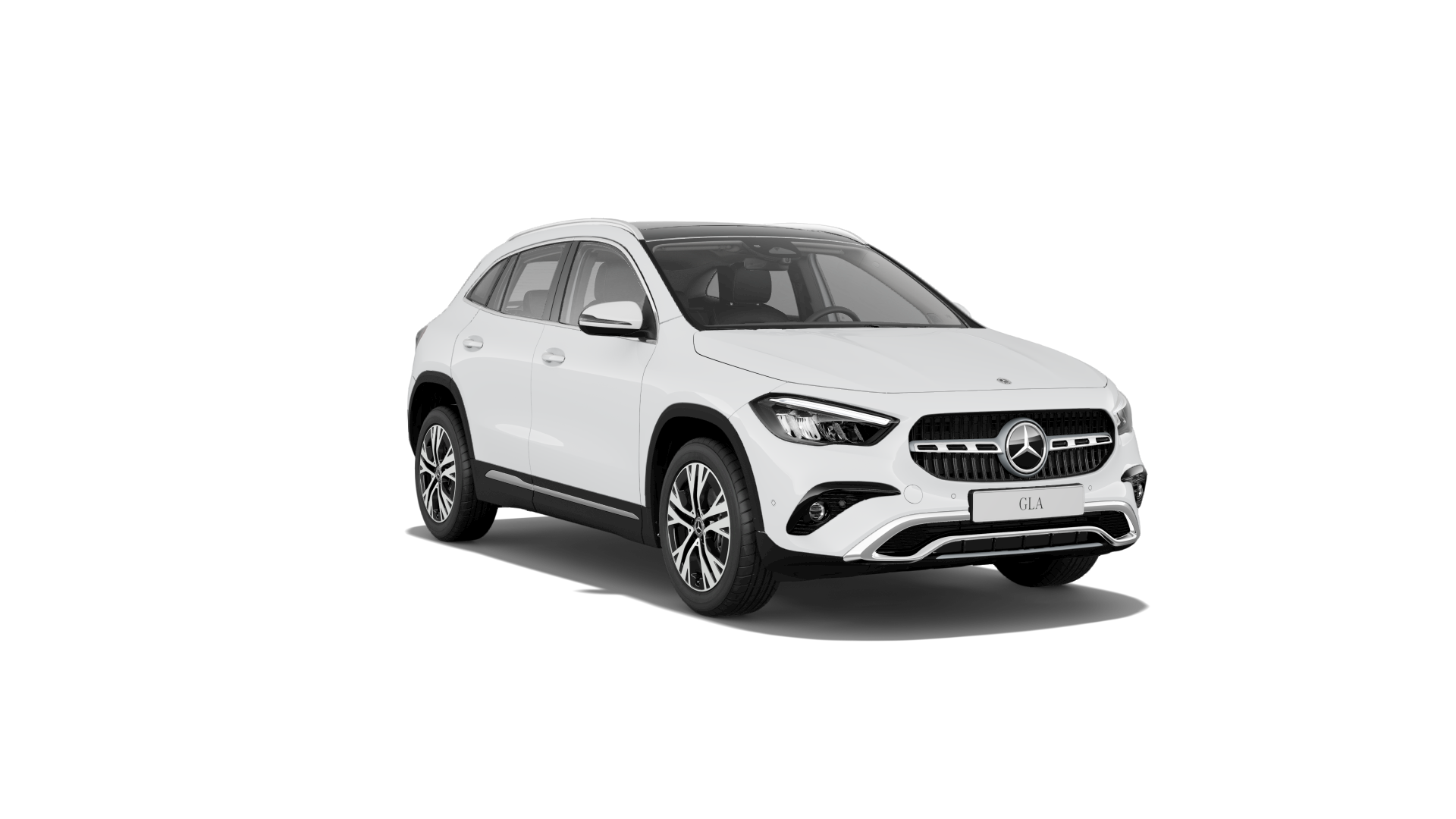 Placeholder image while car is loading