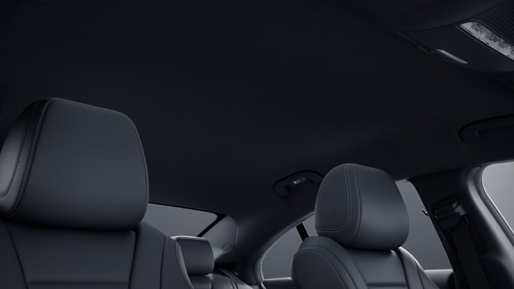 Innenhimmel Stoff schwarz 1