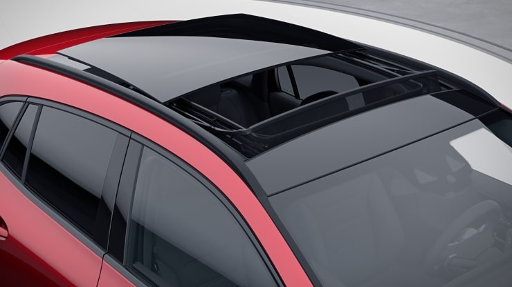 Panorama-Schiebedach 2