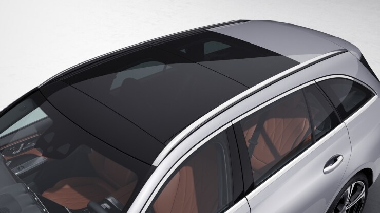 Panorama-Schiebedach 1