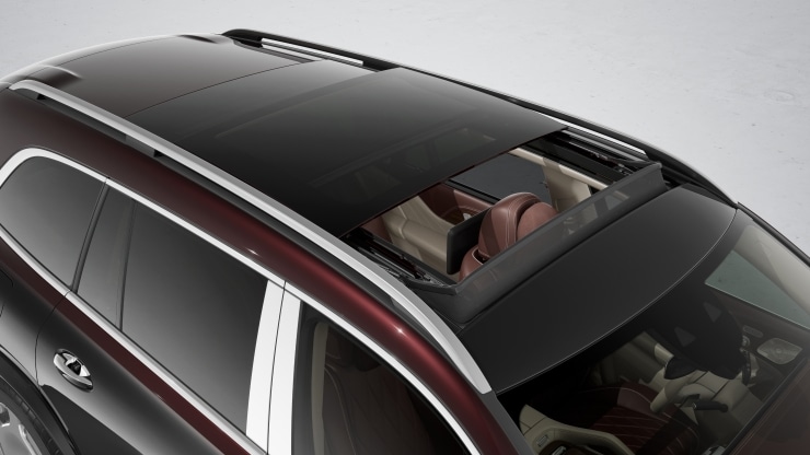 Panorama-Schiebedach 6