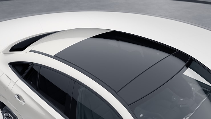 Panorama-Schiebedach 1