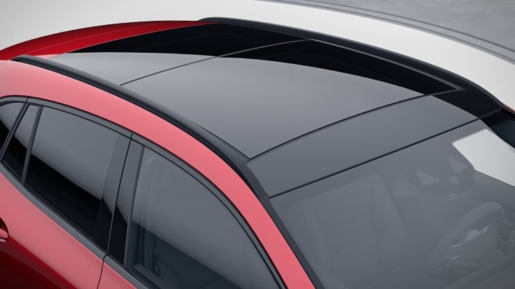 Dachreling schwarz Bild 1