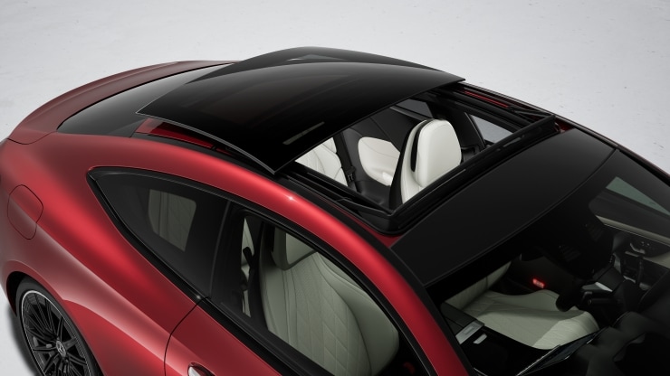 Panorama-Schiebedach 1