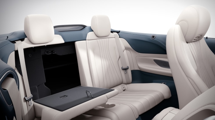 Sitzlehnen im Fond klappbar 2