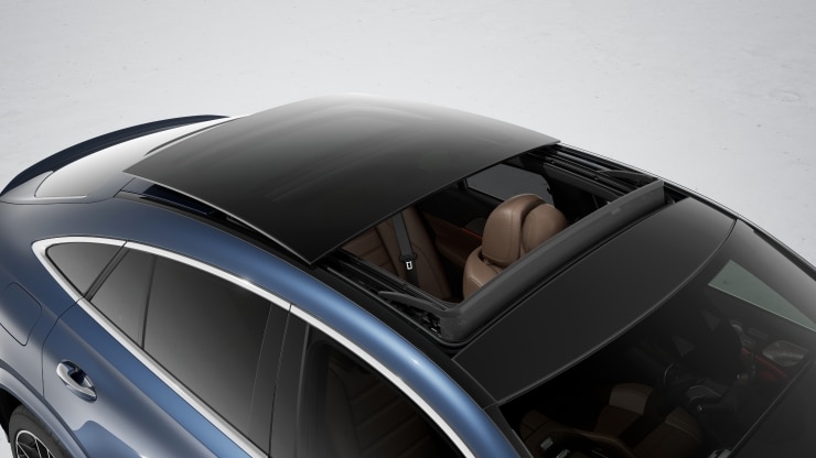 Panorama-Schiebedach 2