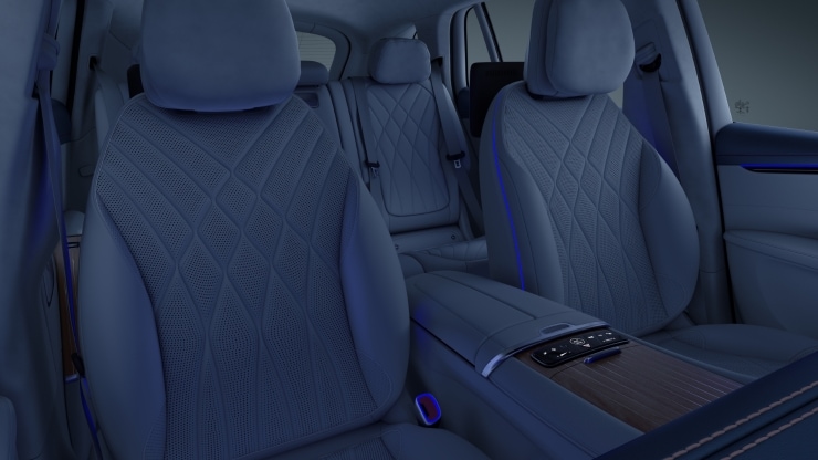 Designgurtschlösser vorn und hinten 1