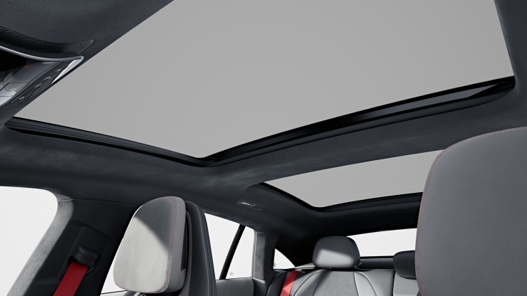 Innenhimmel Mikrofaser MICROCUT schwarz 1