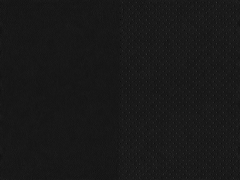 Leder Exklusiv Nappa schwarz 1