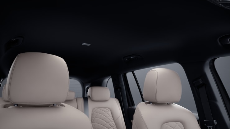 Innenhimmel Stoff schwarz 1