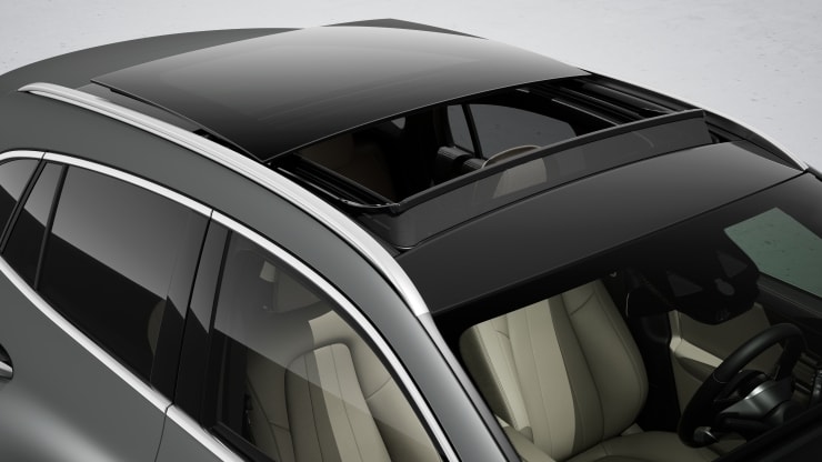 Panorama-Schiebedach 2