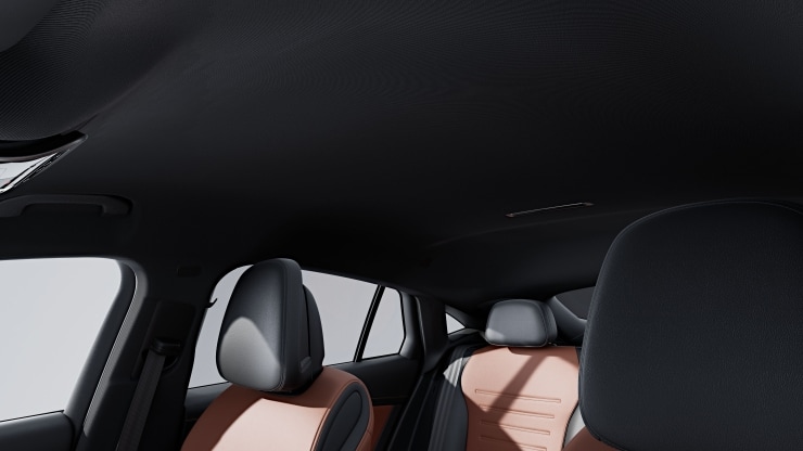 Innenhimmel Stoff schwarz 1