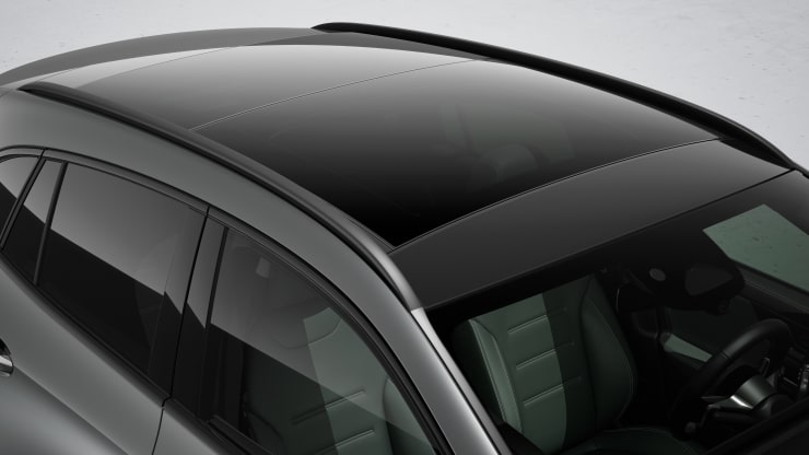 Dachreling schwarz Bild 1