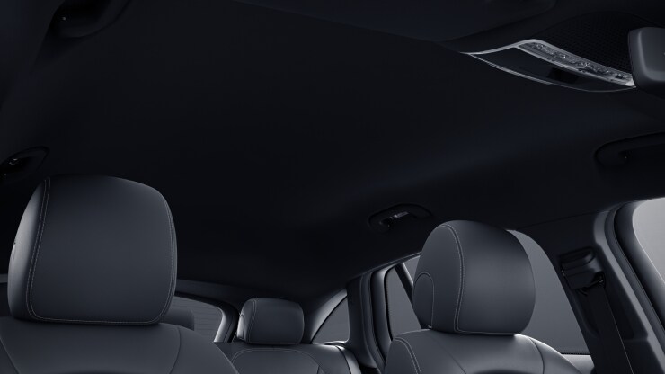 Innenhimmel Stoff schwarz 1