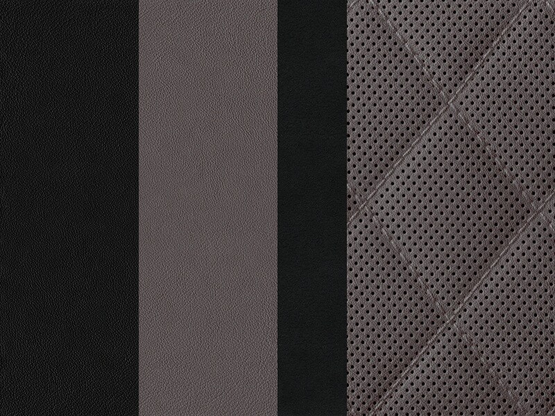 Sellerie Image 1