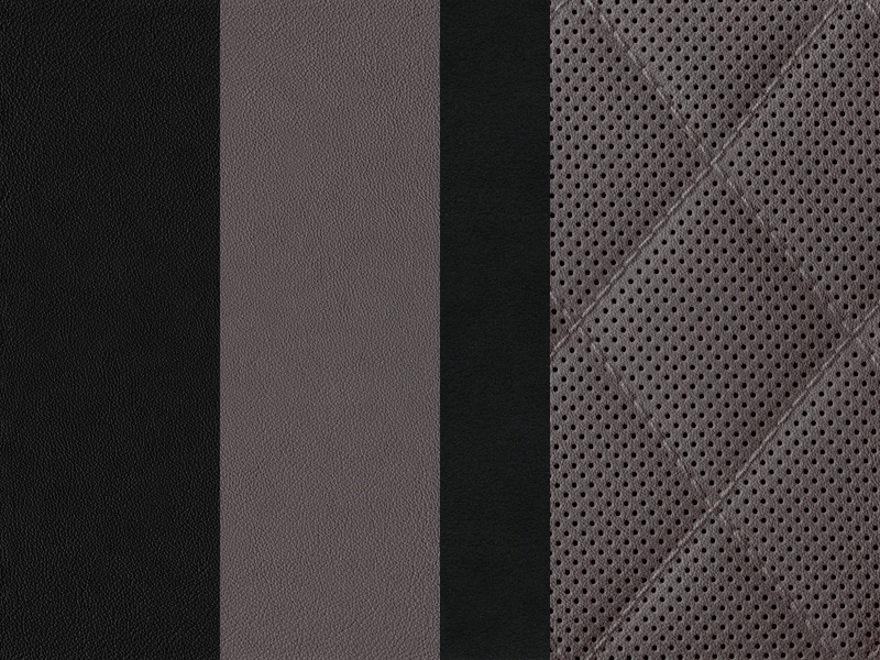 Sellerie Image 1