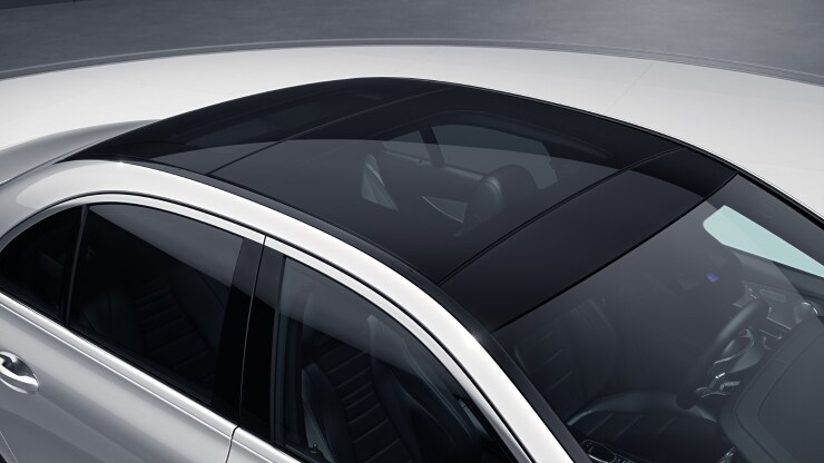 Panorama-Schiebedach 2