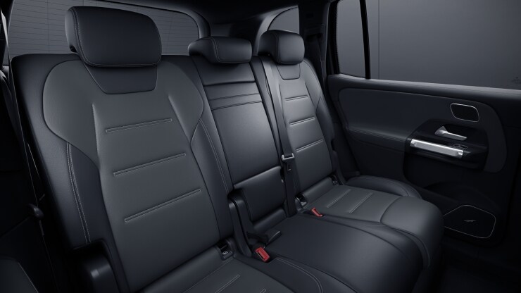 Paquete de tapizado de cuero AMG 2