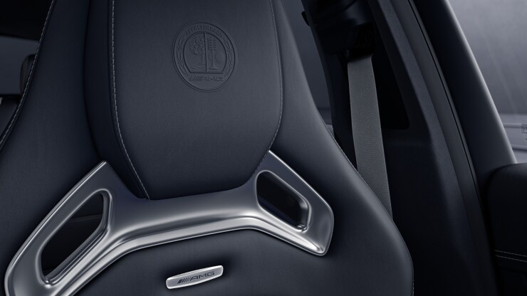 Sicherheitsgurte in Kristallgrau 1