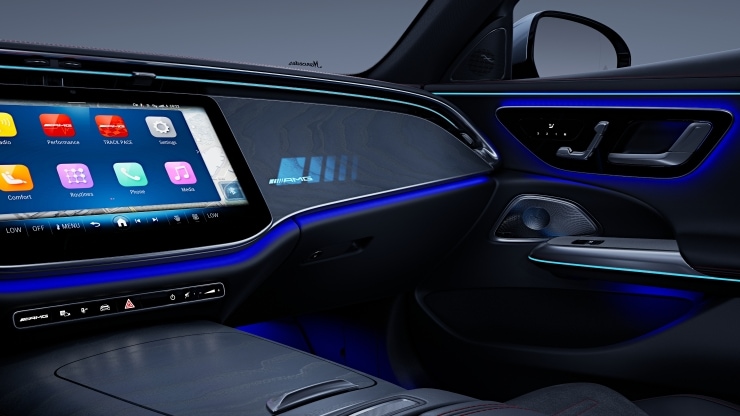 AMG Zierelemente Holz Esche grau offenporig durchleuchtet Bild 1