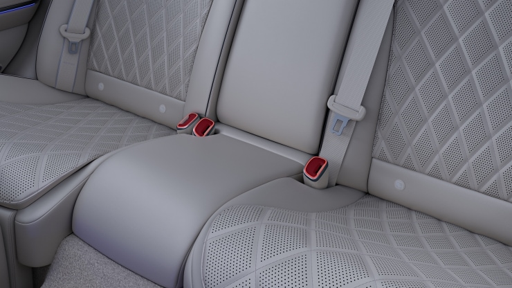 Designgurtschl&ouml;sser vorn und hinten Bild 1