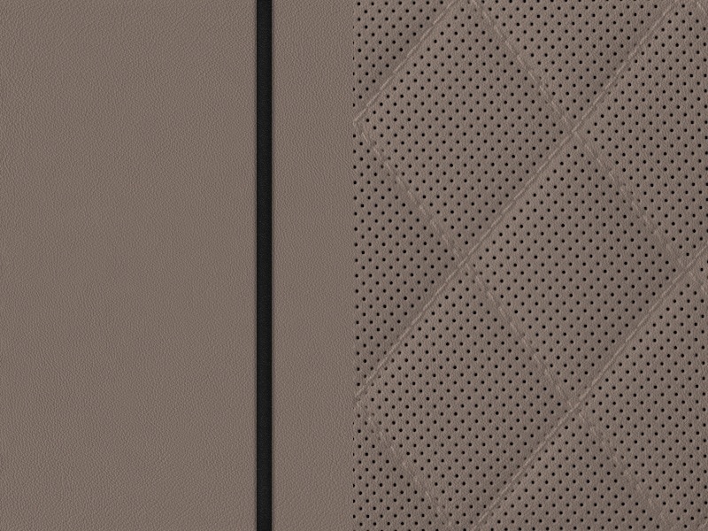 Sellerie Image 1