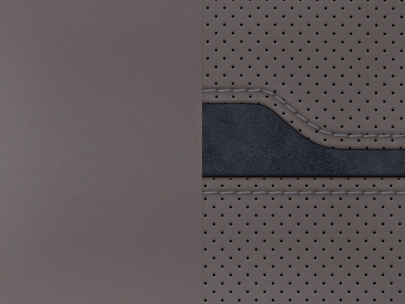 Sellerie Image 1