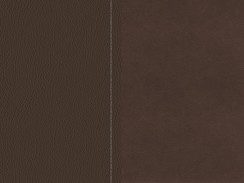 Sellerie Image 1