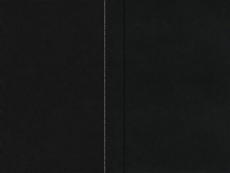 Sellerie Image 1