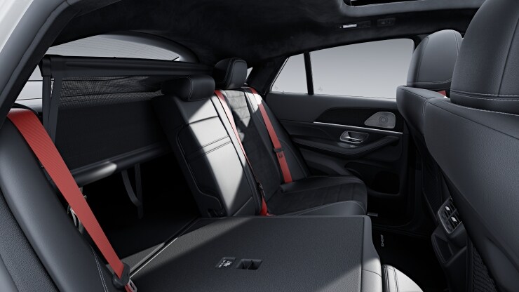 Trennnetz zur Gep&auml;ckraumabtrennung und Insassenschutz Bild 1