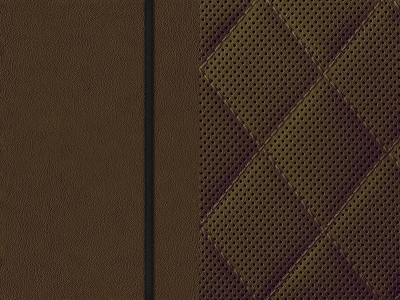 Sellerie Image 1