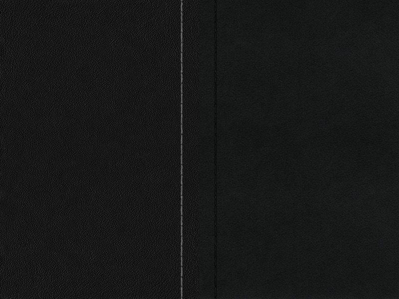 Sellerie Image 1
