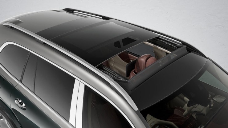 Panorama-Schiebedach 6