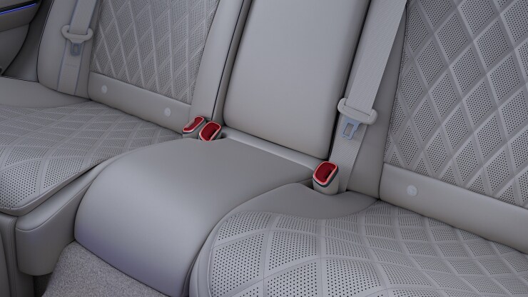 Designgurtschl&ouml;sser vorn und hinten Bild 1