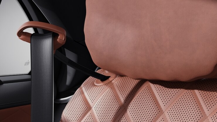 Aproximador del cintur&oacute;n en la parte trasera 2