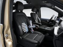 EQV Lumbar support, co-driver's seat