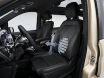 EQV Lumbar support, driver's seat