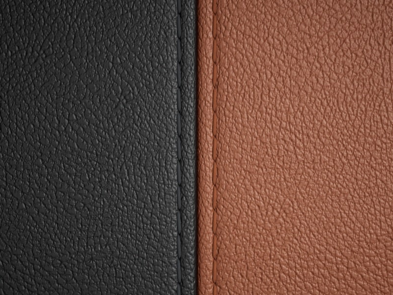 Sellerie Image 1