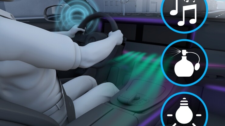 Paquete ENERGIZING 2