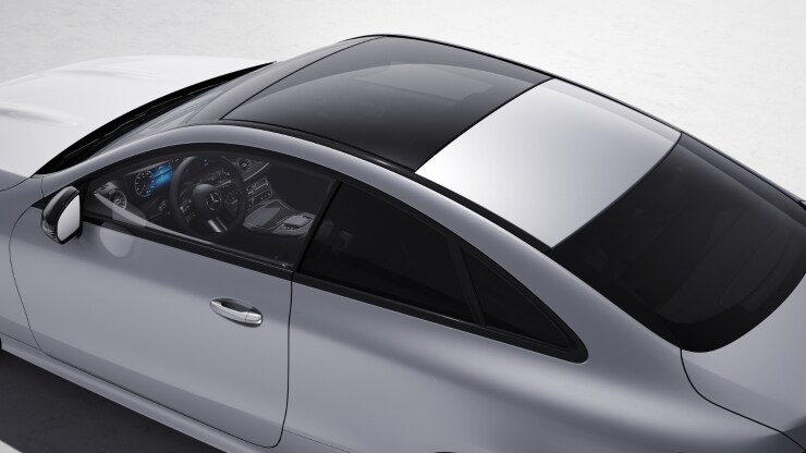 Panorama-Schiebedach 2