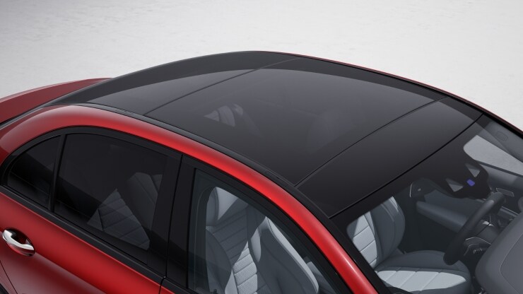 Panorama-Schiebedach 4