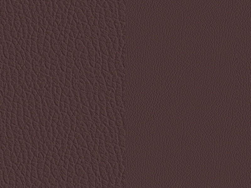 Sellerie Image 1