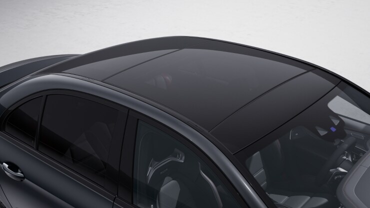 Panorama-Schiebedach 5