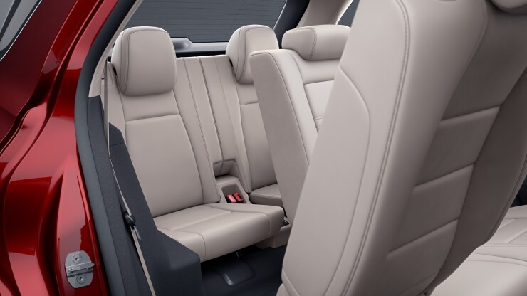 Paquete cromado interior 5