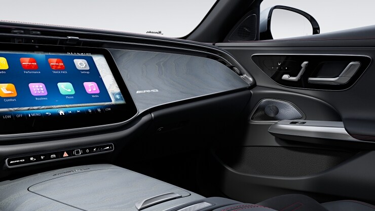 AMG Zierelemente Holz Esche grau offenporig durchleuchtet 2