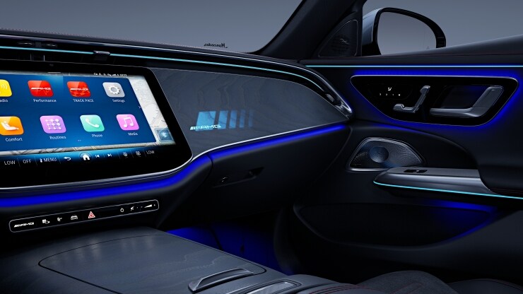 AMG Zierelemente Holz Esche grau offenporig durchleuchtet Bild 1