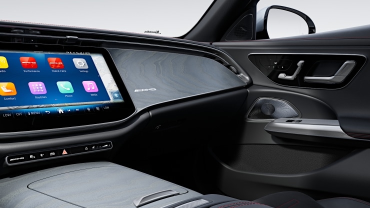 Inserts d&eacute;coratifs AMG en bois de fr&ecirc;ne gris translucide &agrave; pores ouverts Image 1