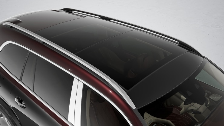 Panorama-Schiebedach 5