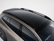 EQS SUV Dachreling schwarz